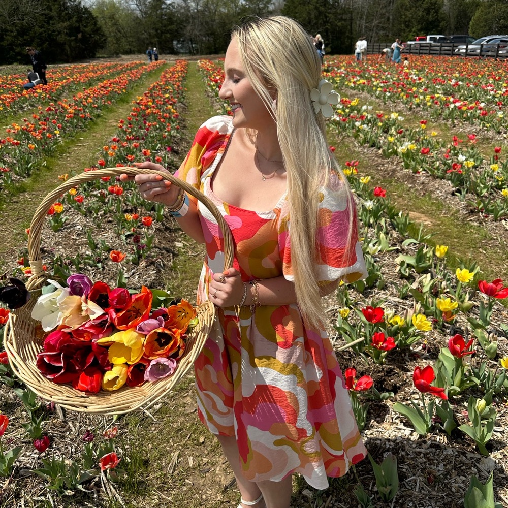 Multi-Color Puff Sleeve Sundress - Picture 6 of 6